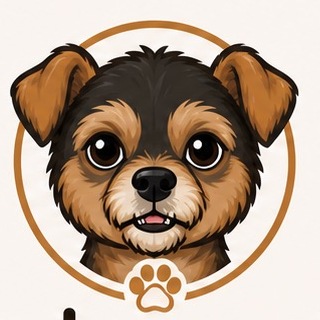 OnlyPawz mascot — a friendly Yorkie illustration